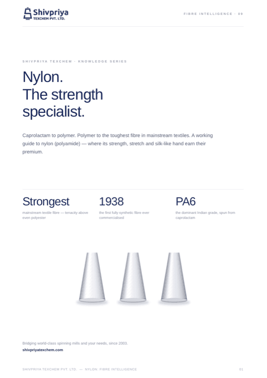 Nylon — Fibre Intelligence 09 cover