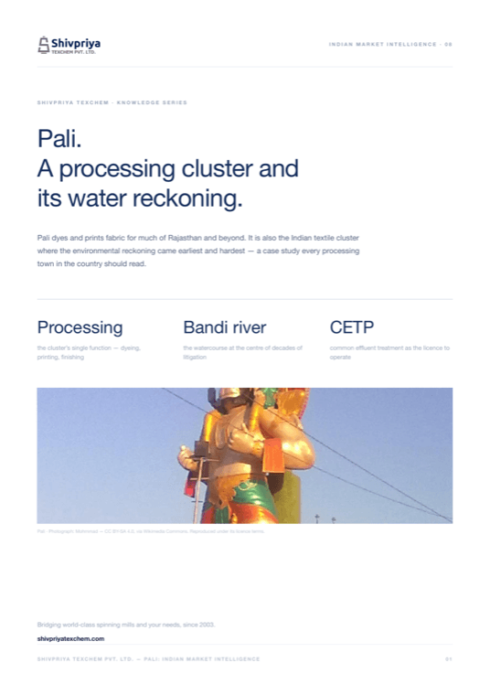 Pali — Indian Market Intelligence 08 cover